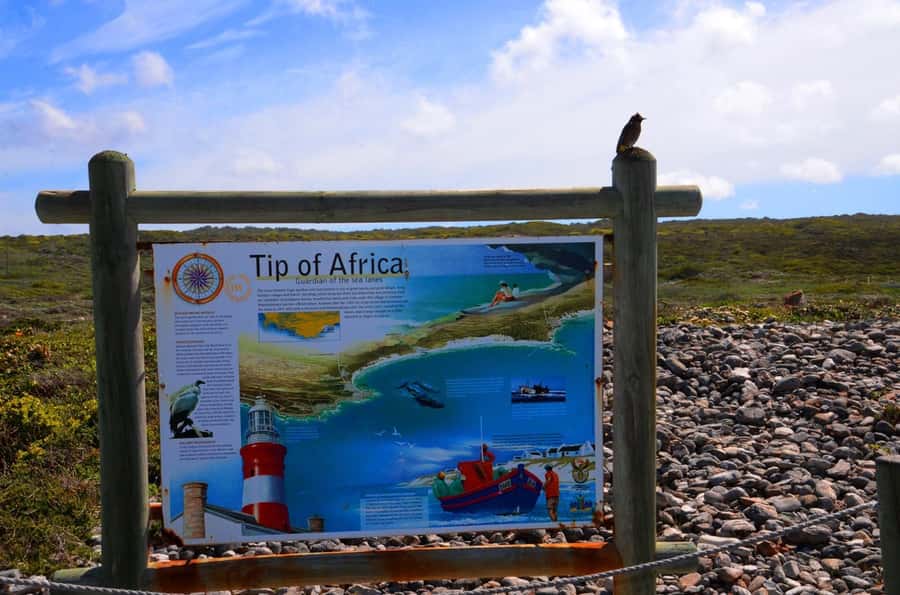 Cape Agulhas Tour from Cape Town - Small group comfort, English guide, and pickup limits