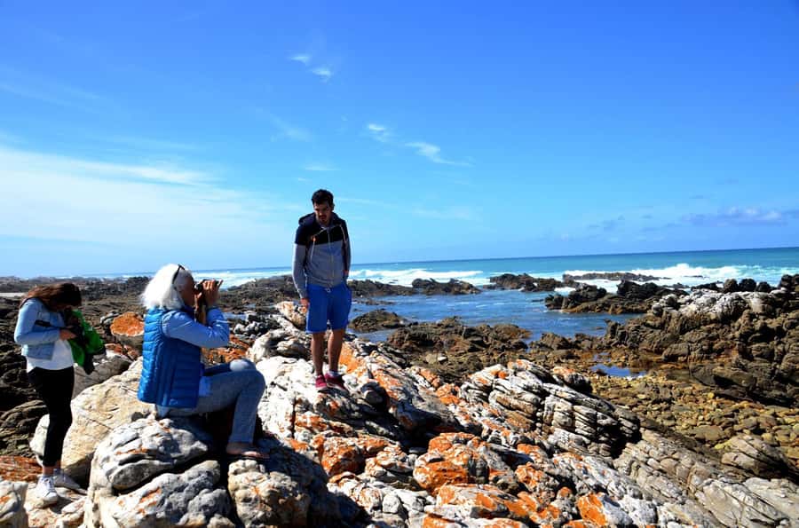 Cape Agulhas Tour from Cape Town - Citrus orchards, Caledon’s hot-springs past, and a farm-stand break