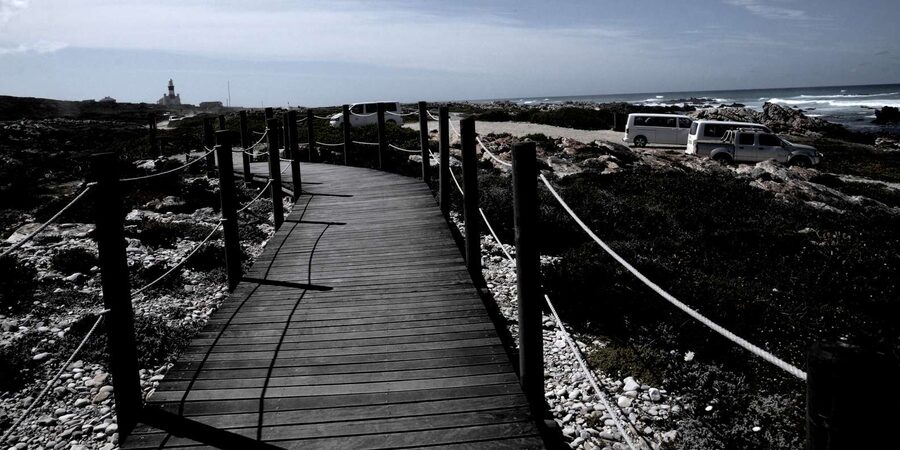 Cape Agulhas Tour from Cape Town - Timing and pacing: how 9 hours really feel from Cape Town