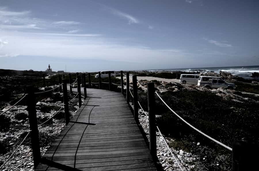 Cape Agulhas Tour from Cape Town - Price and value for $154: what you’re paying for
