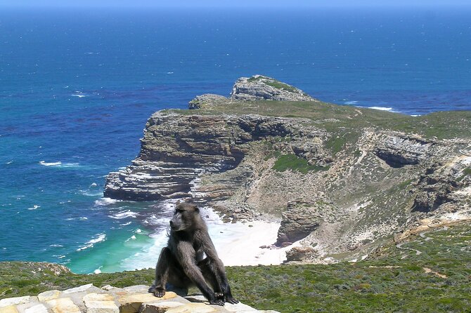 Cape of Good Hope and Boulders Beach Group Tour in Cape Town - Cape of Good Hope and Cape Point: viewpoints, ocean meeting, and optional funicular