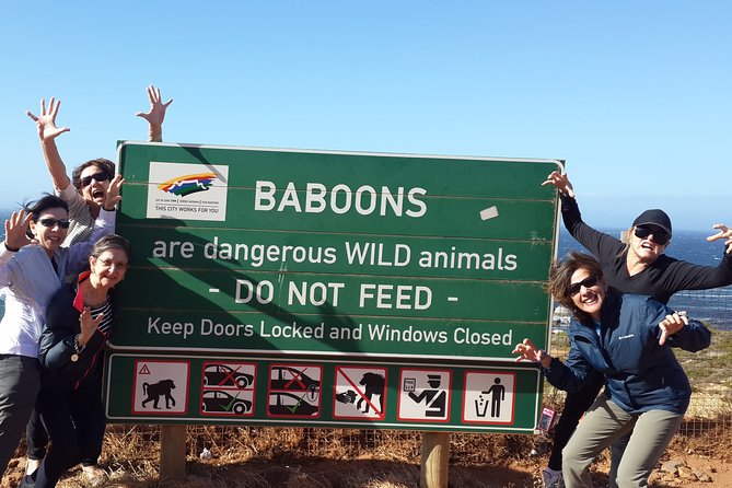 Cape of Good Hope and Cape Winelands Day Tour from Cape Town - Clifton and Camps Bay: the Cape Town starter course