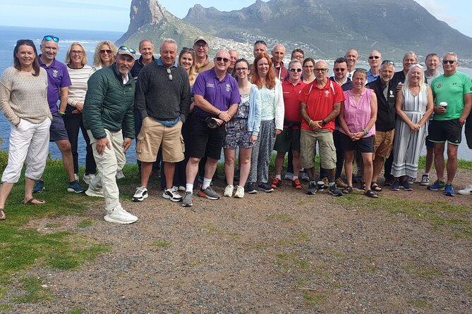 Cape of Good Hope and Cape Winelands Day Tour from Cape Town - Boulders Beach penguins: short, cute, and optional