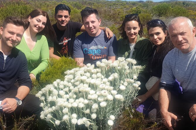 Cape of Good Hope and Cape Winelands Day Tour from Cape Town - Cape of Good Hope: where the coast feels untamed