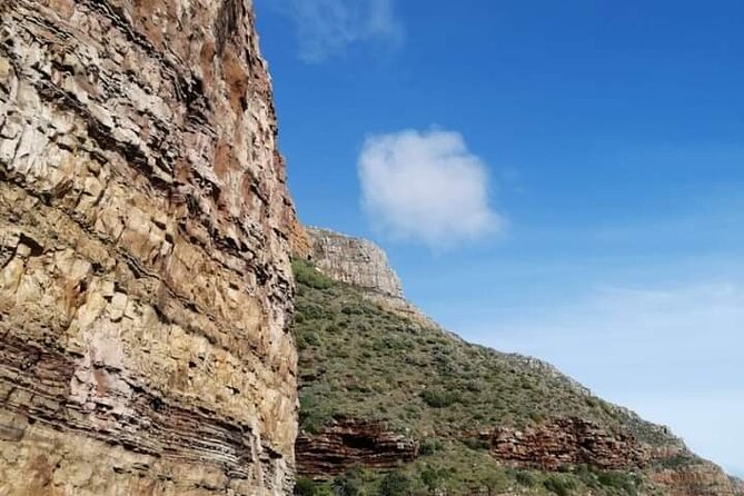 Cape of Good Hope and Penguin Beach Tour in Cape Town - A 7-hour Cape Peninsula route that actually works