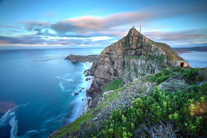 Cape of Good Hope and Penguin Beach Tour in Cape Town - Hout Bay Harbour seals and Chapman’s Peak cliffside drama