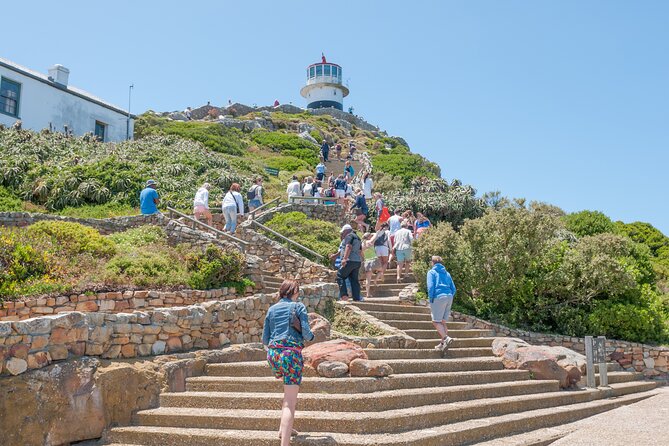 Cape Of Good Hope and Penguins Full Day Small Group Tour from Cape Town - Hout Bay Harbour: seals, boats, or a quick market break