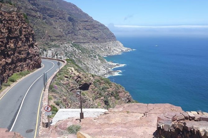 Cape of Good Hope and Penguins - Small Group - Full day - Cape Point Ostrich Farm: the quick detour