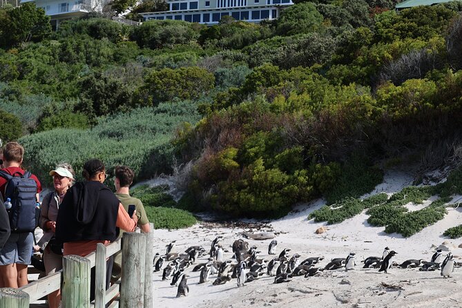 Cape Of Good Hope and Table Mountain Day Trip from Cape Town parks fees include - Cape of Good Hope Reserve and Cape Point, Wildlife Time Without the Rush
