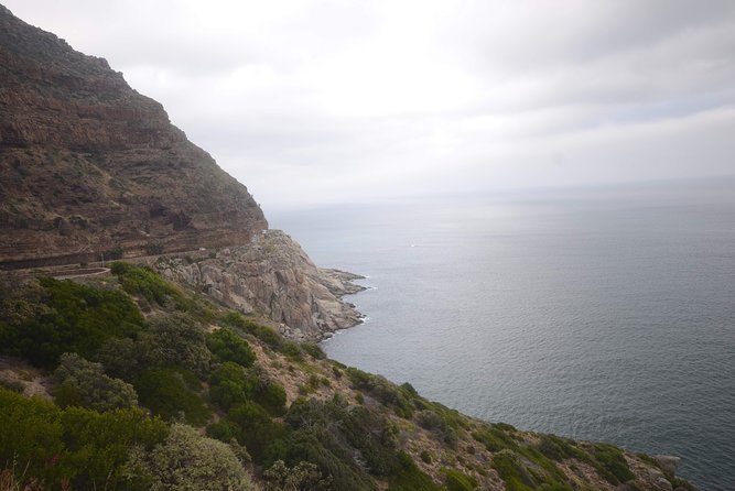 Cape of Good Hope & Boulders Beach Private Tour (Including Lunch) - Cape Point Nature Reserve: plants, wildlife, and lighthouse access