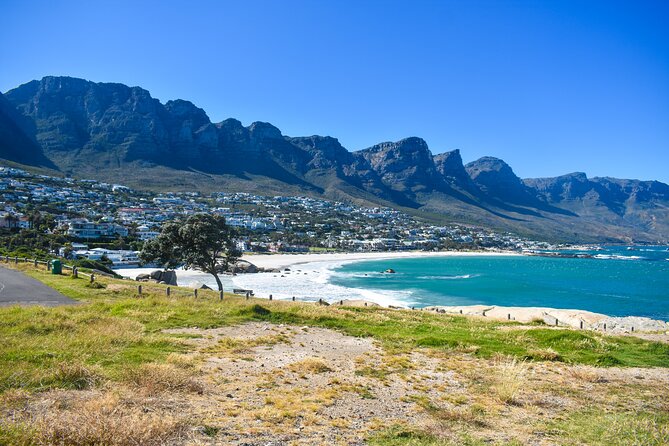Cape of Good Hope & Boulders Beach Private Tour (Including Lunch) - Simon’s Town, Kalk Bay, and Muizenberg huts for the final punch