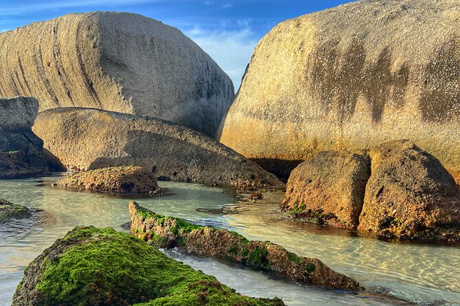 Cape of Good Hope Cape Point for groups - Price and Value: What You Pay and What You Need to Budget Extra
