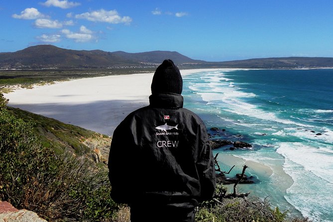 Cape of Good hope, Cape Point & Penguins, Private Morning Tour - Starting at the Victoria & Alfred Waterfront, and Why the Timing Helps