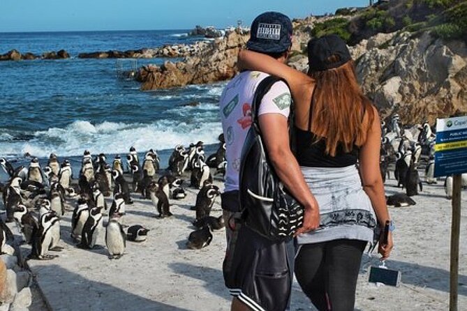 Cape of Good Hope-Cape Point - Penguins Private Tour Cape Town - Muizenberg Beach in 30 Minutes: Worth It, But Keep It Light