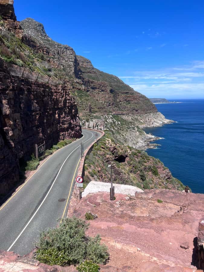 Cape of Good Hope, Chapman's Peak Drive, Penguins , Seals - Hout Bay, the Twelve Apostles region, and an optional Seal Island cruise