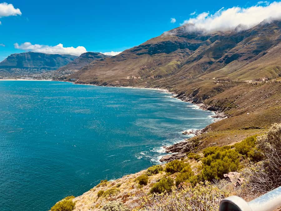Cape of Good Hope, Chapman's Peak Drive, Penguins , Seals - Cape of Good Hope Nature Reserve: rugged views and ocean meeting points