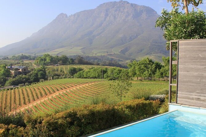 Cape of Good Hope Helicopter Private Tour with Stellenbosch Wine Tasting & Lunch - Key points
