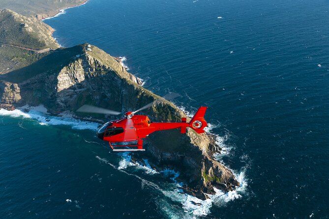 Cape of Good Hope Helicopter Private Tour with Stellenbosch Wine Tasting & Lunch - Somerset West game reserve time, with hands-on cheetah contact