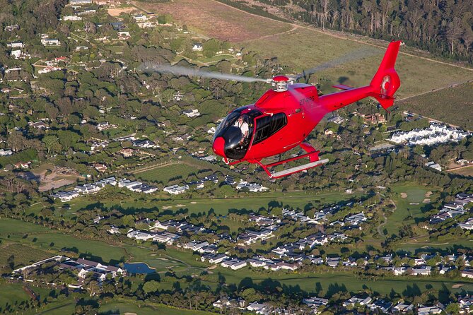 Cape of Good Hope Helicopter Private Tour with Stellenbosch Wine Tasting & Lunch - Stellenbosch tastings start with DeMorgenzon, and their music idea