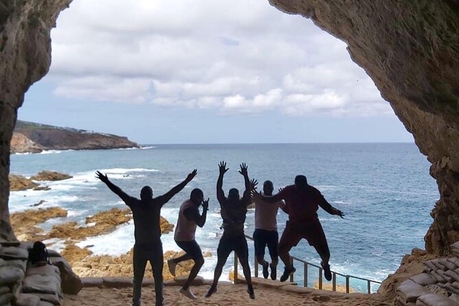 Cape of Good hope,penguin Beach, Table Mountain, Campsbay - Key highlights I’d pencil in first