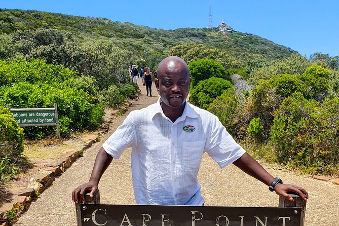 Cape of Good Hope & Penguins Boulder's Beach in Private Car - Hout Bay and Seal Island: plan for a short boat ride and real animal time