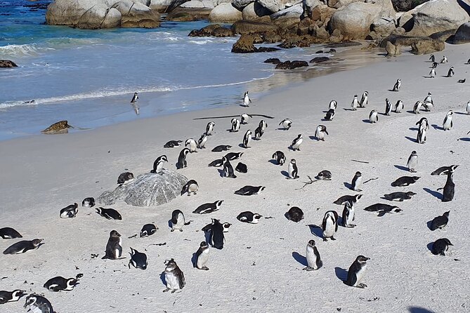 Cape of Good Hope & Penguins from Cape Town Full-Day Private Tour - Noordhoek Farm Village and the coastal drive toward Cape Point
