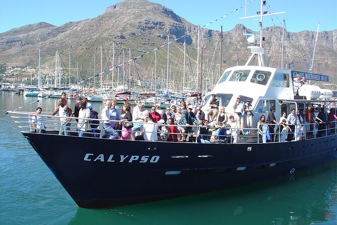 Cape of Good Hope & Penguins from Cape Town Full-Day Private Tour - Cape Point Nature Reserve: vehicle views or a walk