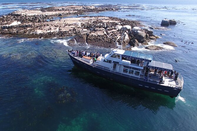 Cape of Good Hope & Penguins from Cape Town Full-Day Private Tour - Sea Point, Bantry Bay, Clifton, and the Camps Bay Kodak moment