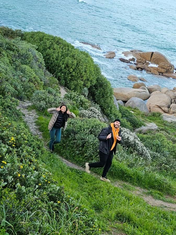 Cape of Good Hope & Penguins Private Tour - Chapman’s Peak Drive and the Atlantic Seaboard views
