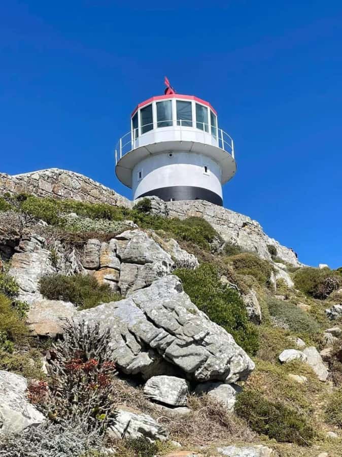 Cape of Good Hope & Penguins Private Tour - Camps Bay lookout, then Hout Bay for the seals