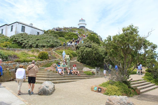 Cape Of Good Hope, Penguins Private Tour from Cape Town full day - Price, what you get, and what you should budget for