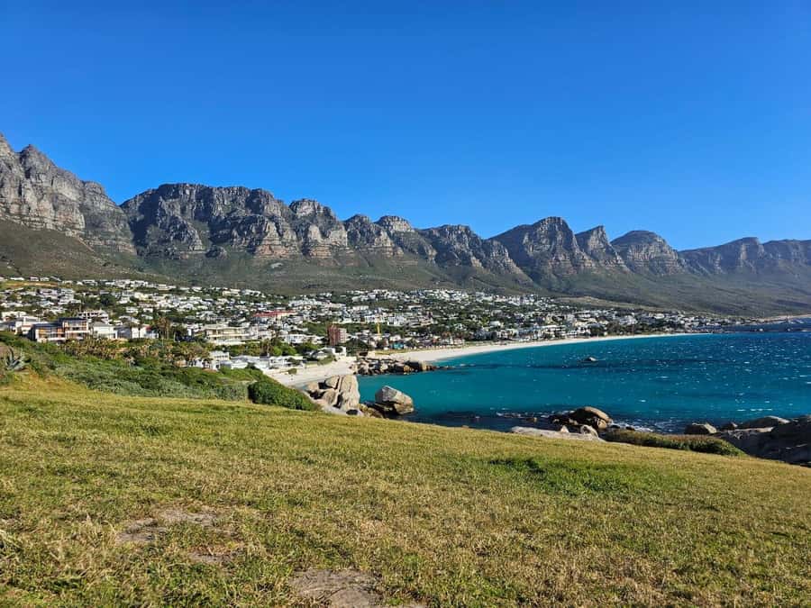 Cape of Good Hope & Penguins Shared Tour - Best for: who should book this Cape Peninsula penguins and seals day
