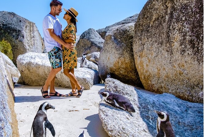 Cape of Good Hope & Penguins Small Group Tour from Cape Town - Cape Peninsula in one day: the real value of this route