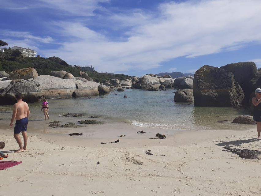 Cape of Good Hope: Sightseeing and African Penguins Tour - Boulders Penguin Colony: How to Enjoy African Penguins Without Feeling Rushed