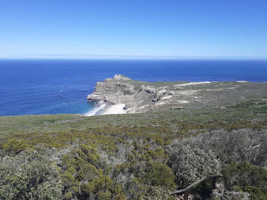 Cape of Good Hope: Sightseeing and African Penguins Tour - Cape of Good Hope Nature Reserve and the New Cape Point Lighthouse Finish