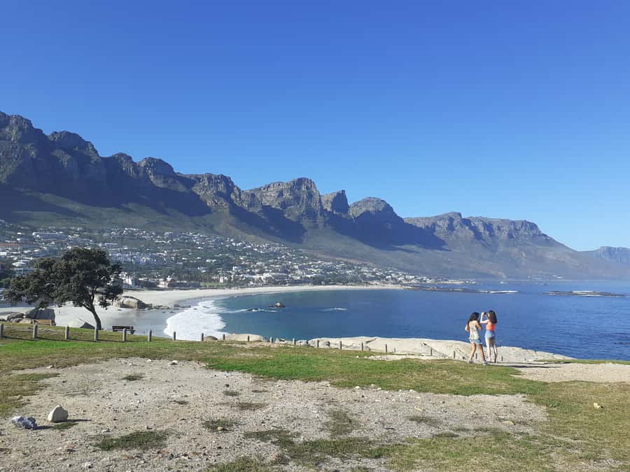Cape of Good Hope: Sightseeing and African Penguins Tour - Price and Value: What $44 Really Buys