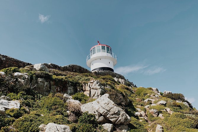 Cape of Good Hope, Table Mountain & Penguins Private Tour from Cape Town - Noordhoek Farm Village Optional Coffee Break