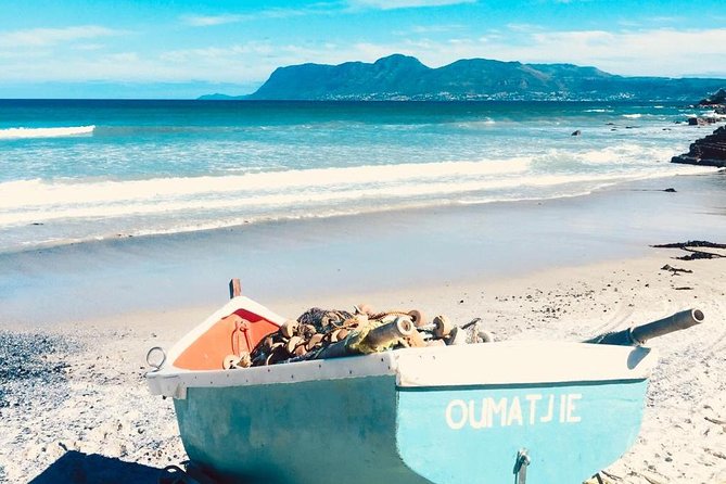 Cape Peninsula Adventure - Hout Bay and the Seal Island Boat Ride