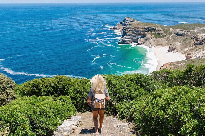 Cape Peninsula and Boulders Full Day Tour with Private Transfer - Muizenberg Beach Stop and the Return Along the Coast