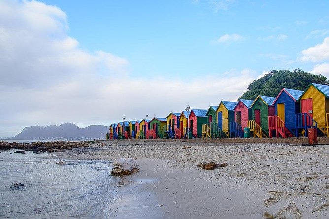 Cape Peninsula and Boulders Full Day Tour with Private Transfer - Price, What You Get, and Where Extra Costs Can Pop Up