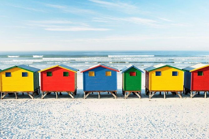Cape Peninsula and Boulders Full Day Tour with Private Transfer - Hout Bay Beach, Fishing Boats, and the Seal-Cruise Choice
