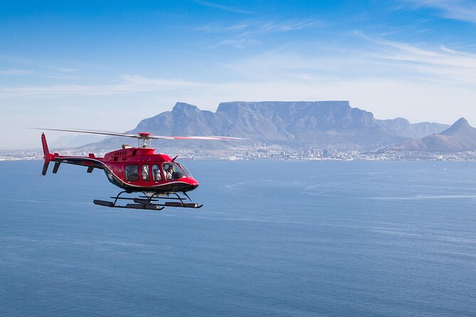 Cape Peninsula Helicopter Private Tour with Stellenbosch Wine Tasting & Lunch - Key highlights worth putting on your radar