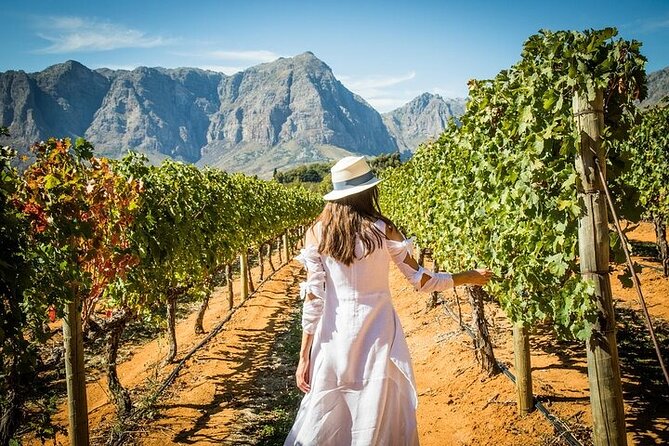 Cape Peninsula Helicopter Private Tour with Stellenbosch Wine Tasting & Lunch - Who this tour suits best (and who should rethink it)