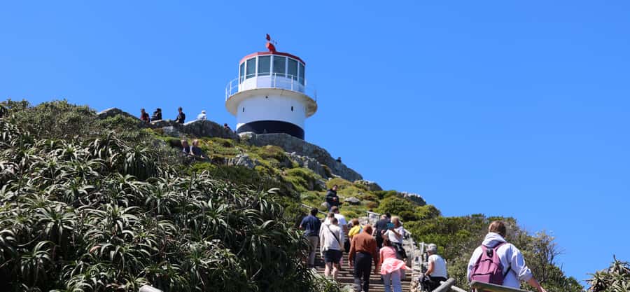 Cape Peninsula & Penguins Beach Half Day Tour from Cape Town - Key highlights worth knowing