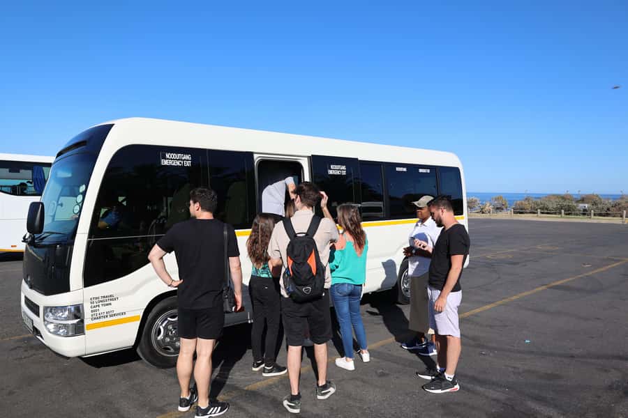 Cape Peninsula & Penguins Beach Half Day Tour from Cape Town - Boulders Beach penguin colony: what you can realistically expect