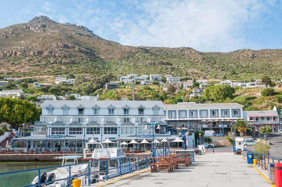 Cape Peninsula & Penguins Beach Half Day Tour from Cape Town - Muizenberg pass-by: a quick taste of Cape Town’s beach vibe