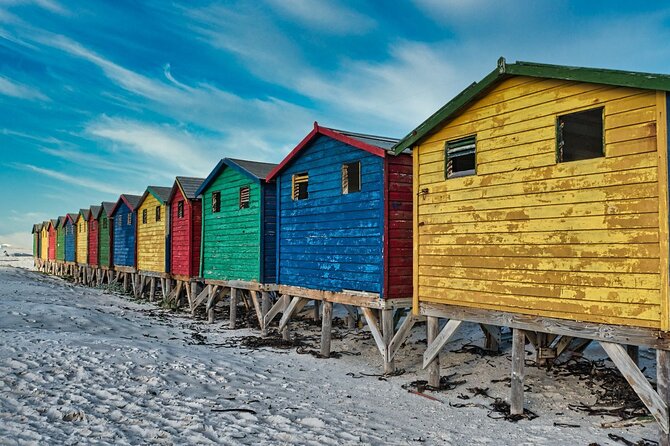 Cape Peninsula & Penguins Private Day Tour, Entrances Included. - Cape Point Nature Reserve: Wildlife and Big Seascapes