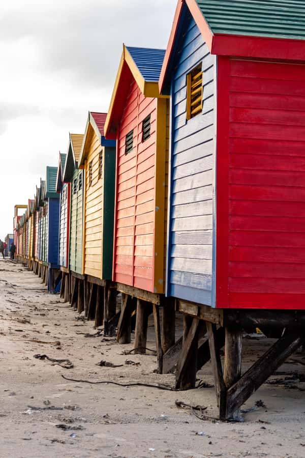Cape Peninsula: Private Full Day Tour - Price and value: $225 per person for a lot of coastline