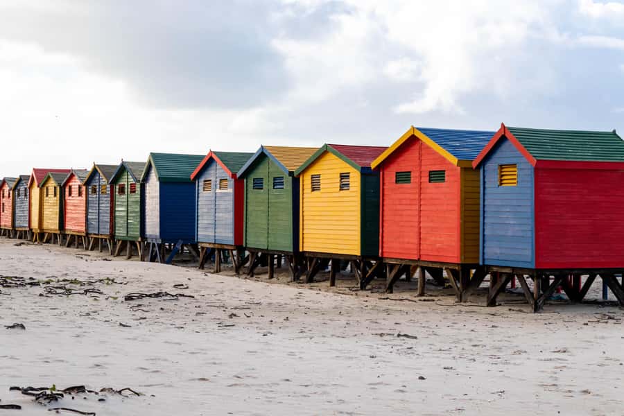 Cape Peninsula: Private Full Day Tour - Guide quality and private pacing that actually helps