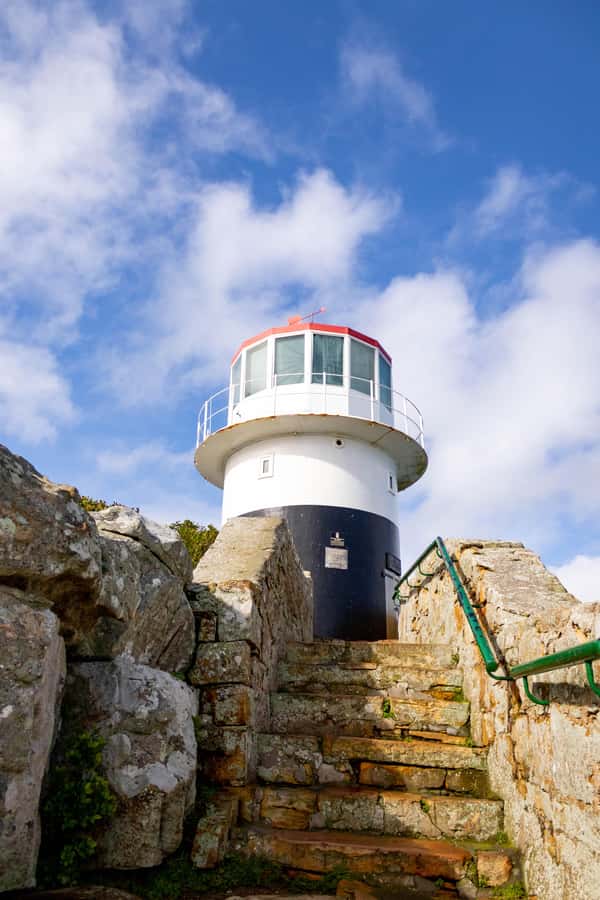 Cape Peninsula: Private Half Day Tour - How the half-day tempo works on the Cape Peninsula